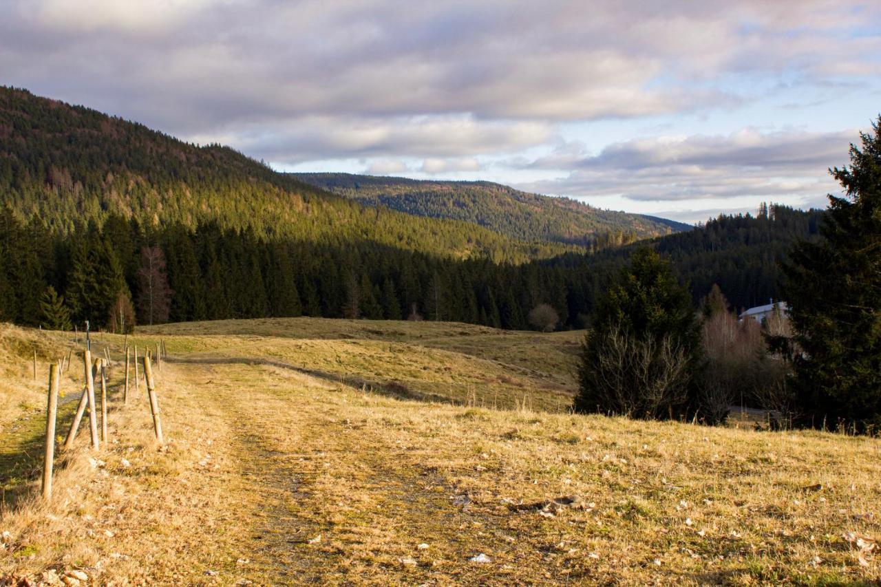 Gemuetliche Ferienwohnung - Mitten Im Schwarzwald Bernau im Schwarzwald Zewnętrze zdjęcie