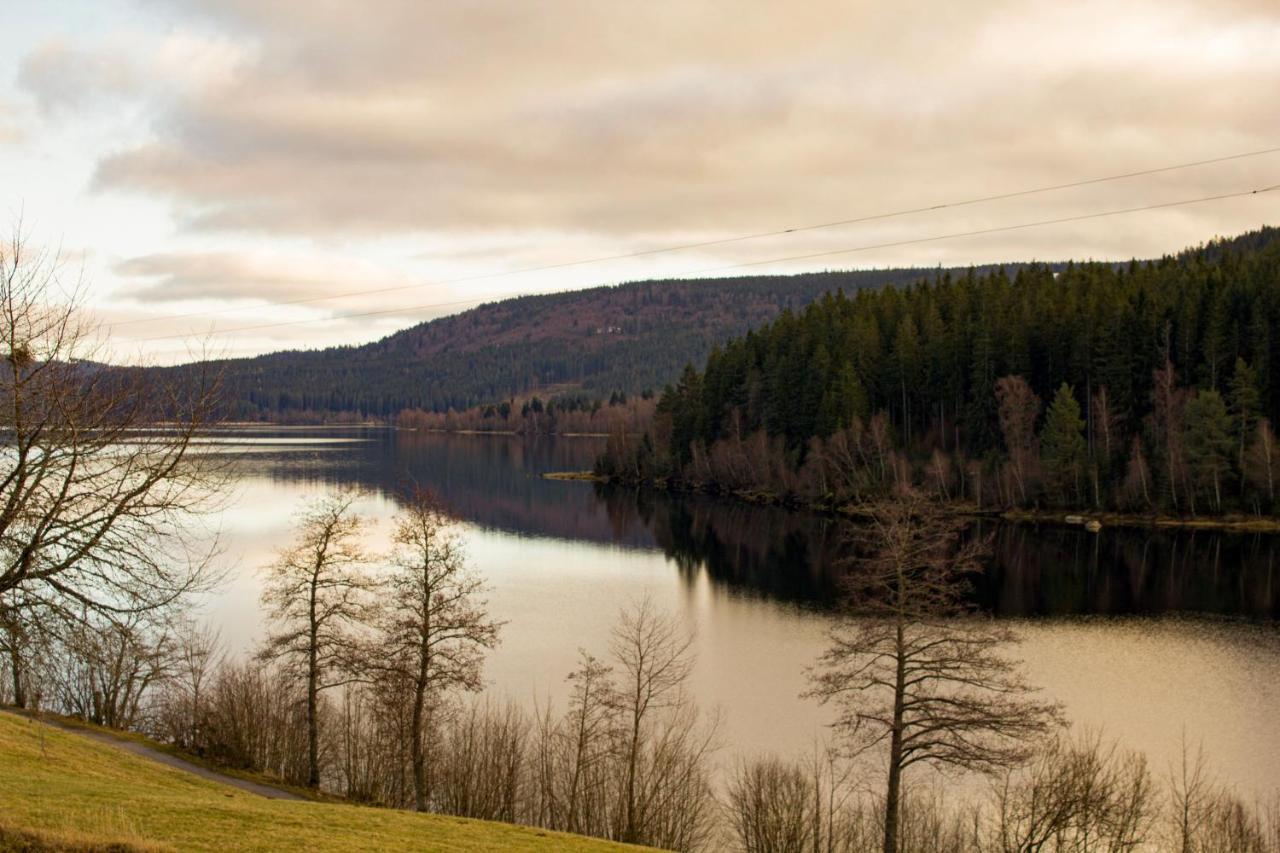 Gemuetliche Ferienwohnung - Mitten Im Schwarzwald Bernau im Schwarzwald Zewnętrze zdjęcie
